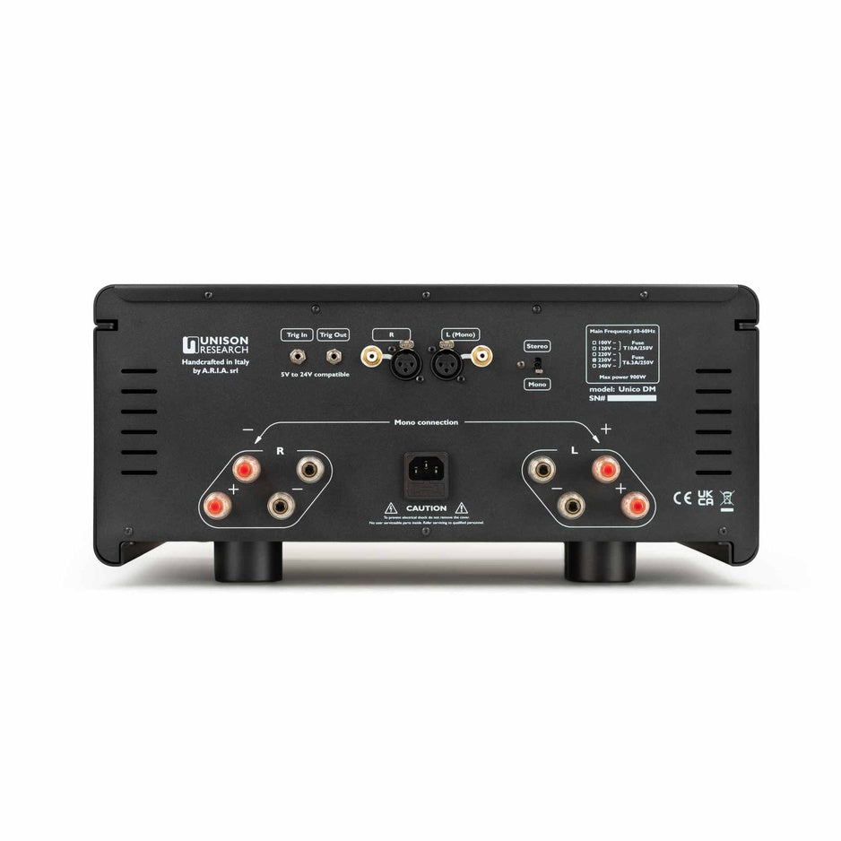 Unison Research Unico DM V2 rear panel with speaker binding posts and inputs