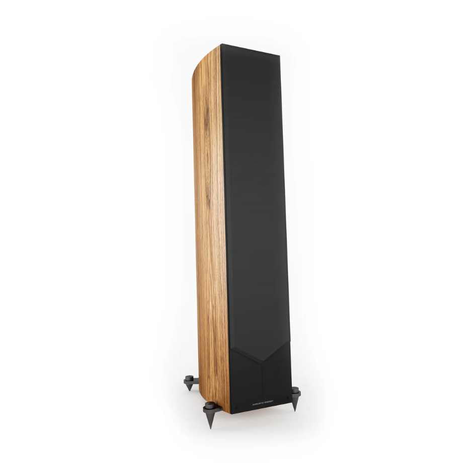 Acoustic Energy Corinium Tectona Rear View