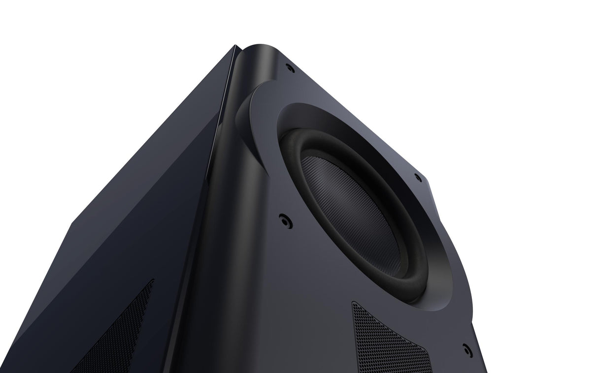 Perlisten R210s upward facing horizontal photo