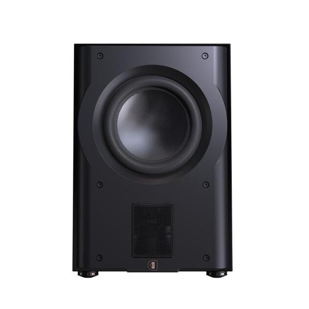 Perlisten R210s front view
