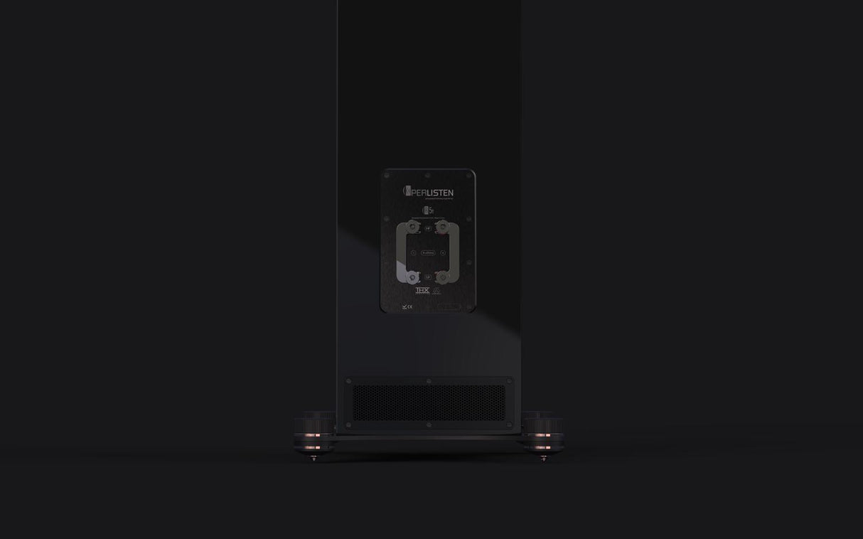 Perlisten R210s Rear photoclose up rear connections