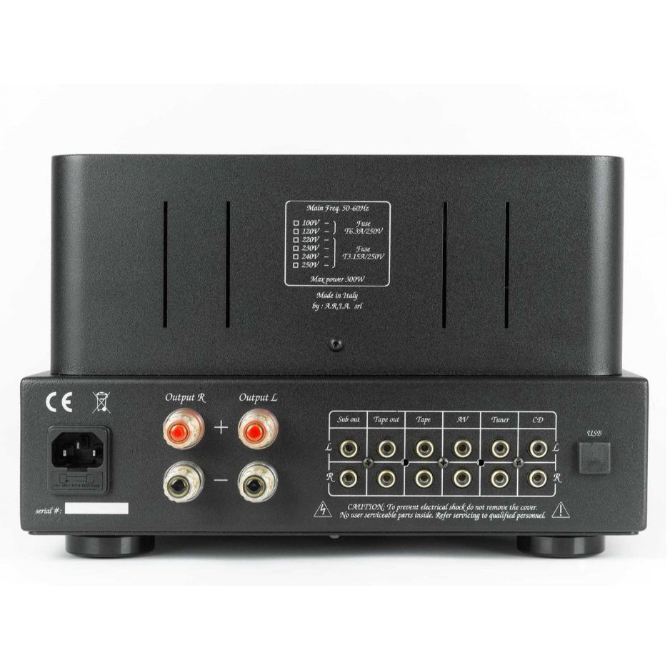 Unison Research Triode 25 Tube Integrated Amplifier rear