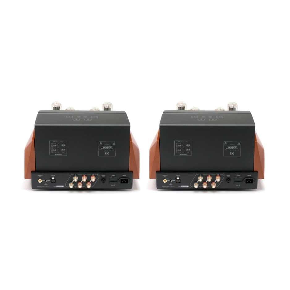 Unison Research Reference Monoblock amplifiers - 2 of them rear view