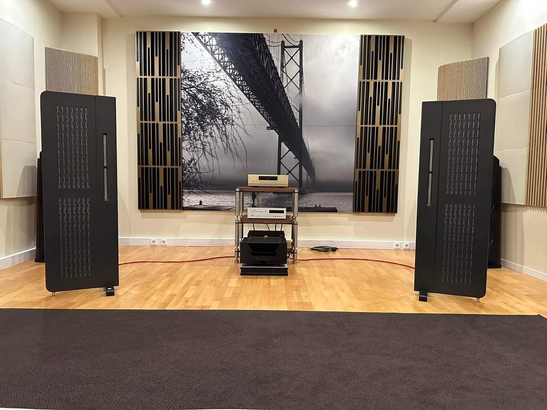 diptyque dp160mk2 in a beautiful listening room - Black