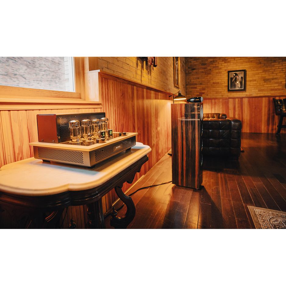 Audio Research I/55 lifestyle