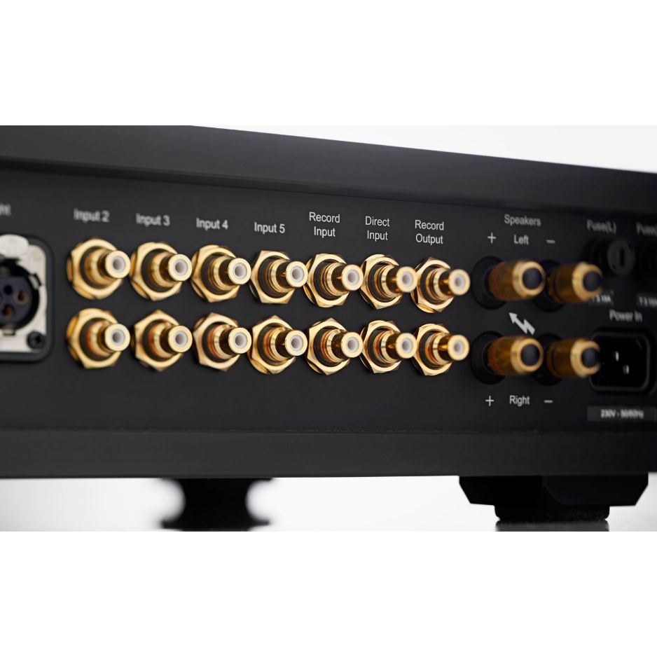 Rega Osiris Integrated Amplifier rear connectors