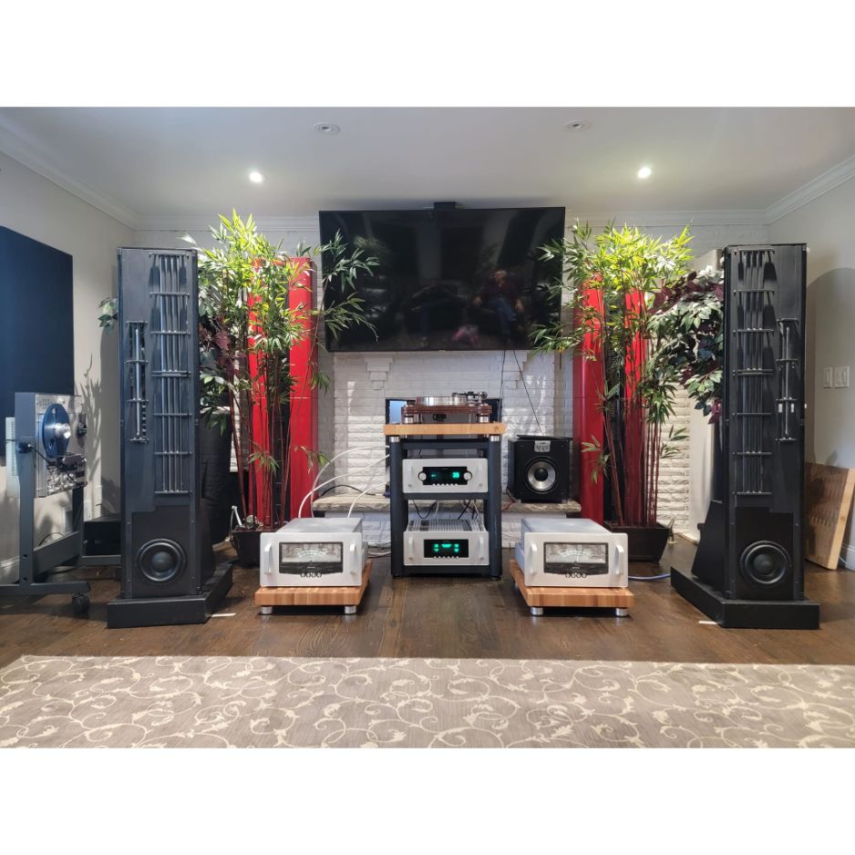 Audio Research Reference 6SE Preamplifier silver in use case