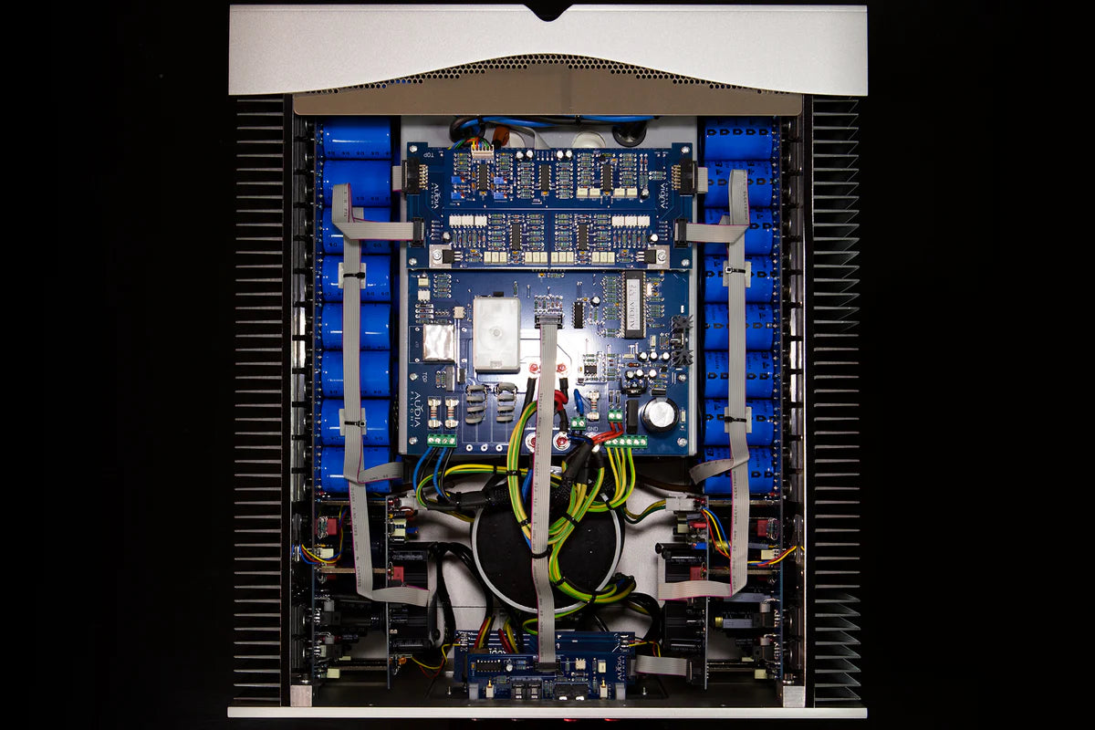 Audia Flight Strumento no.8 Mono Power Amplifier Internals