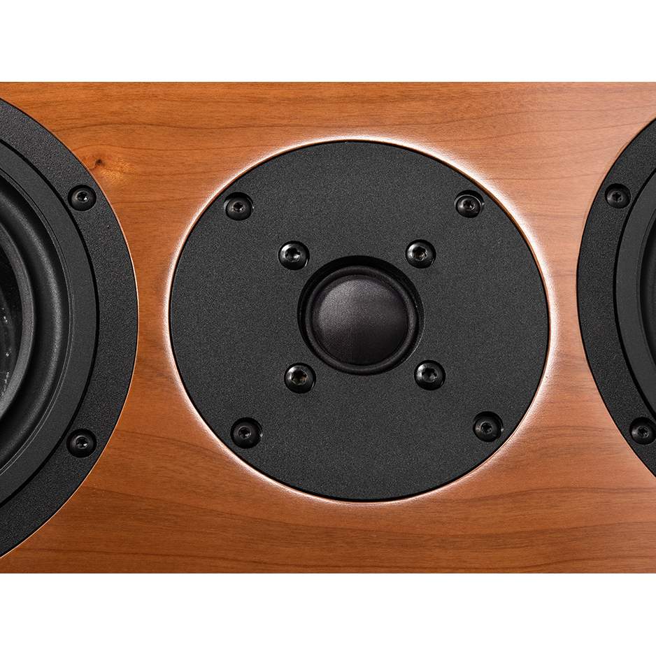 Vienna Acoustics Waltz Grand silk dome tweeter and X3P driver close-up