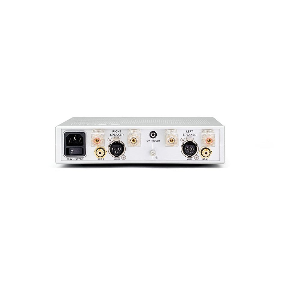 Chord Electronics BerTTi Power Amplifier Rear Panel - XLR and RCA Inputs, Speaker Binding Posts