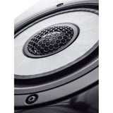 Vienna Acoustics Liszt Reference coincident driver extreme closeup showing ring dome tweeter and Flat Spider Cone