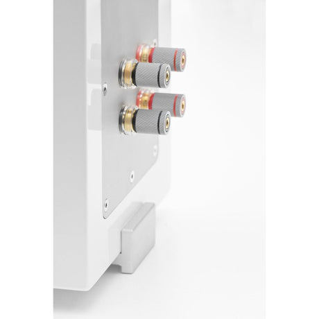 AVM CB 2.3 Bookshelf Speakers back closeup