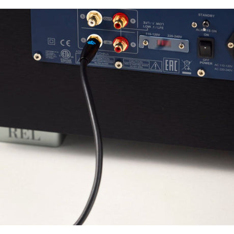 REL HT/1003 MKII Subwoofer back  