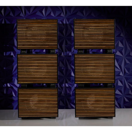 REL Carbon Special Black Label Subwoofer 3 pair