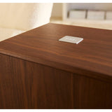 REL Classic 99 Subwoofer  close