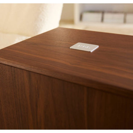 REL Classic 99 Subwoofer  close