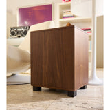 REL Classic 99 Subwoofer lifestyle