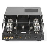 Rogue Audio M-180 Monoblocks black rear