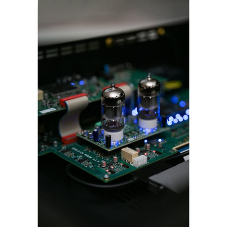 AVM Evolution MP 5.3 Streaming Media Player details