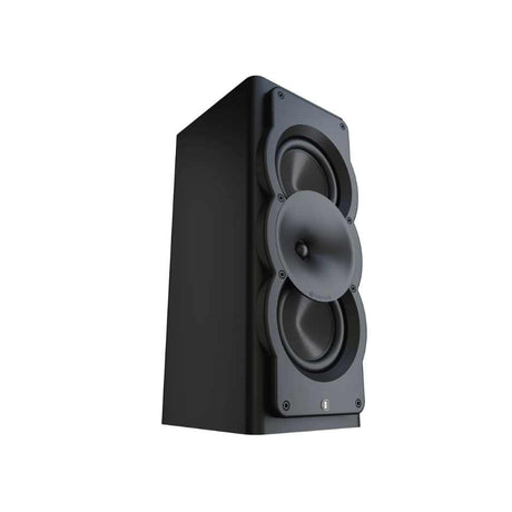 Perlisten A3m Monitor Speaker Diagonal View