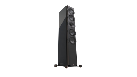 Perlisten R7t transparent landscape