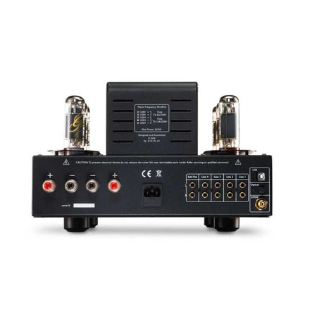 Unison Research S6 Black Edition Tube Integrated Amplifier Rear view with connections