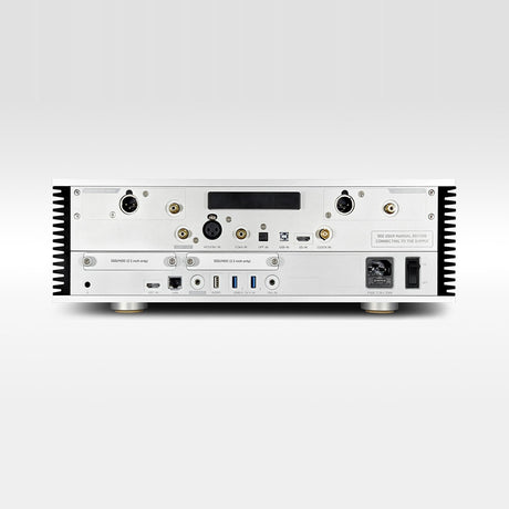 Aurender A1 15th Anniversary Edition Music Server, Silver, rear connection panel
