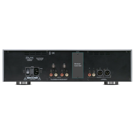AVM Evolution PH 3.3 Phono Preamplifier, Silver, rear connection panel with the module slot