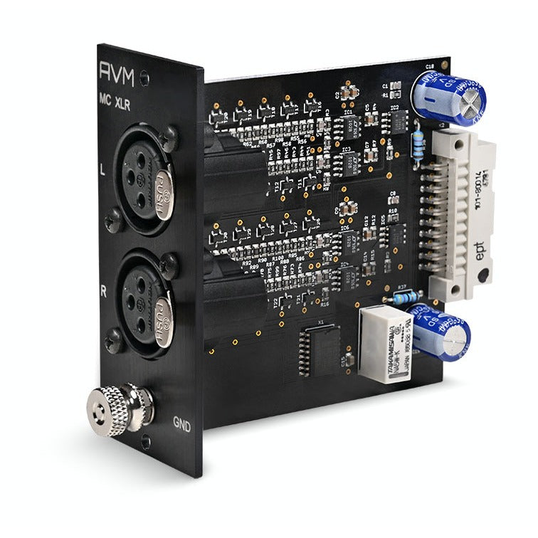 AVM PH Module MC (XLR) for Evolution PH 3.3 and PH 5.3, three-quarter view of the module card