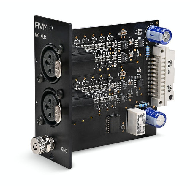 AVM PH Module MC (XLR) for Evolution PH 3.3 and PH 5.3, three-quarter view of the module card