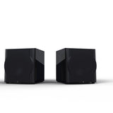 Perlisten D15s Subwoofer 2 up with grill