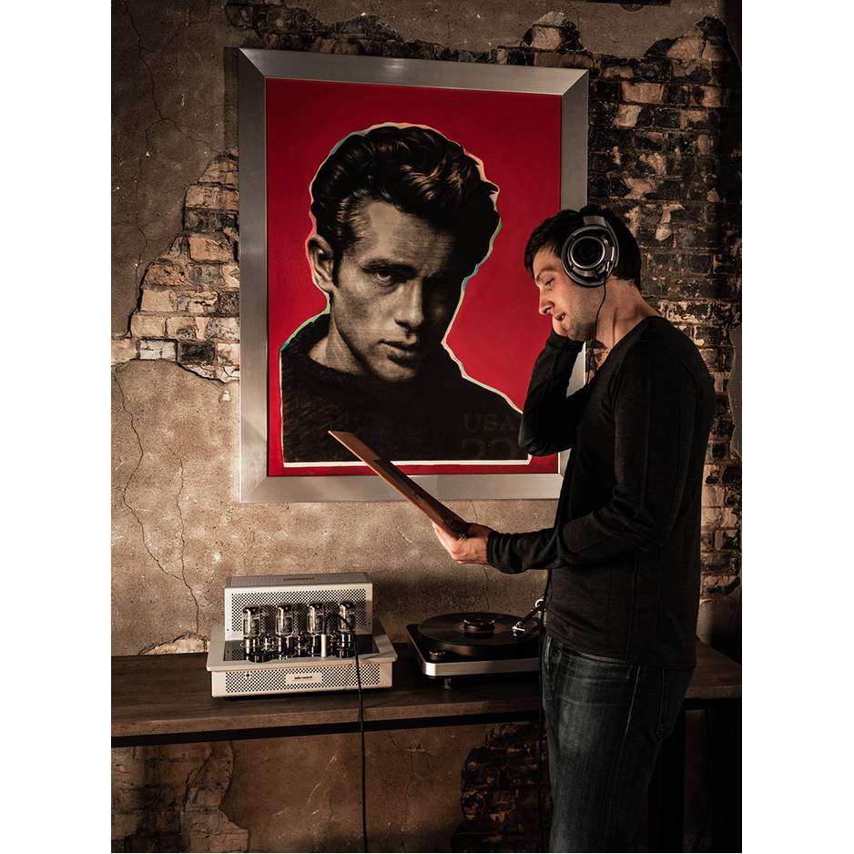 Audio Research I/55 detail view