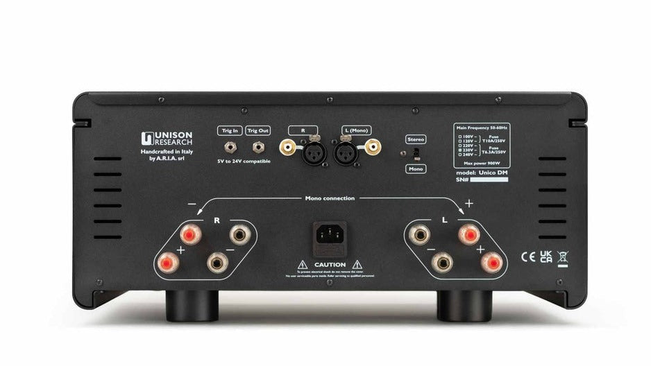 Unico DM V2 rear panel with 4+4 speaker binding posts, XLR and RCA inputs, stereo/mono toggle, and 12V trigger connections
