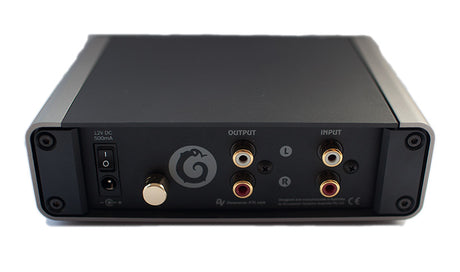 Dynavector P75 Mk4 rear panel showing RCA inputs, outputs, and power