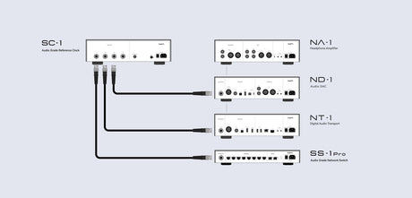 Matrix Audio Silver Copper Hi-Fi Clock Cable, system diagram, rear view of the SC-1 reference clock wired to the ND-1, NT-1 and SS-1 Pro