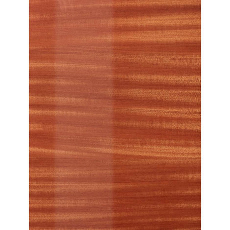 Unison Research MAX Mini Bookshelf Speaker view 5