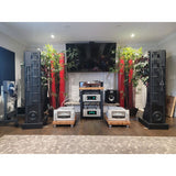 Audio Research Reference 6SE Preamplifier silver in use case