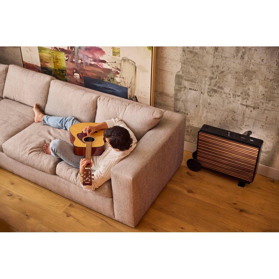 REL Planar PL-2 Piano Black wall-mounted in living room
