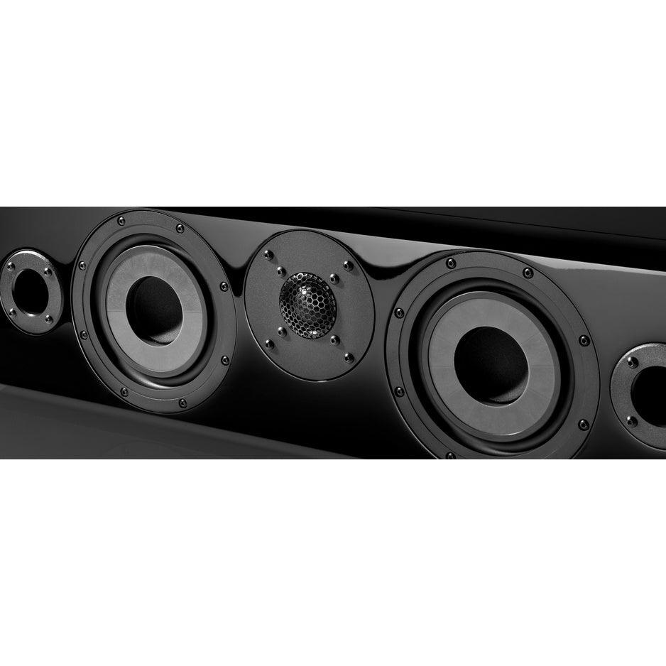 Vienna Acoustics Maestro Grand Reference driver detail showing X4P Composite Cone and hand-coated silk dome tweeter