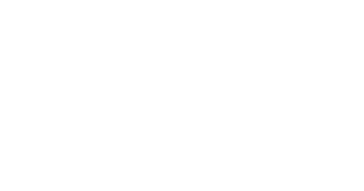 Vienna acoustics
